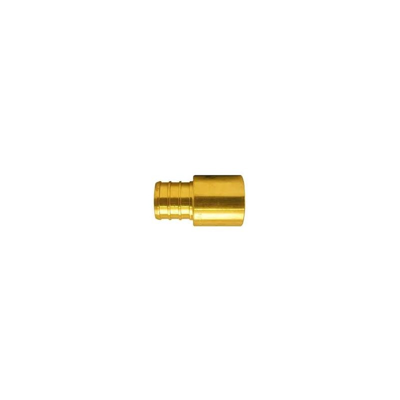 Adaptateur PEX, raccord PEX 1/2" x 1/2" FIP