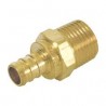 PEX Adapter, 3/4" PEX x 3/4" MIP fittings