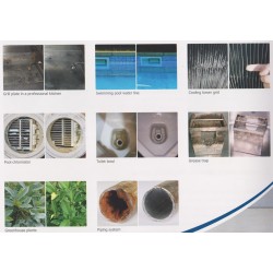 Electronic anti-scale